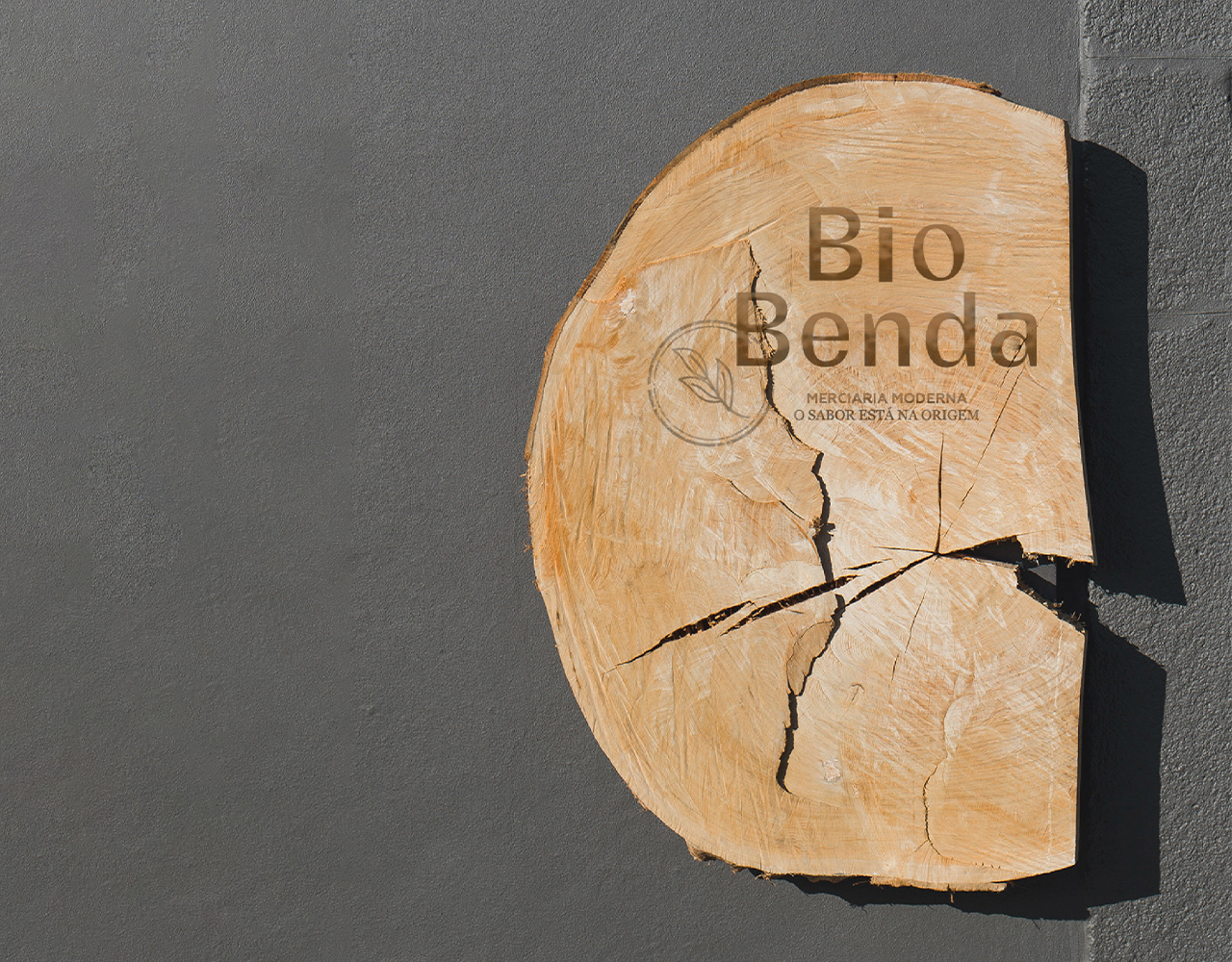 Work view – BioBenda 1